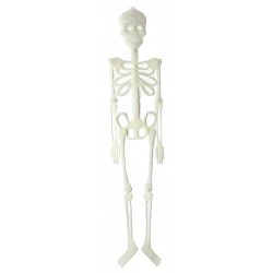 Comprar Esqueleto Plastico en Masfiesta.es. Artículos de fiesta y decoración